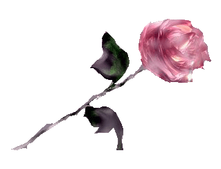 sticker_4420710_36202113
