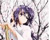 sticker_24484465_34158196