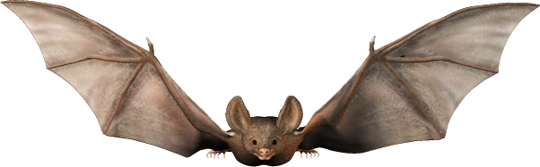 sticker_9579711_40470266