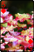 sticker_715086_47602947