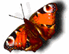 sticker_42159138_3