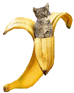 sticker_15248726_35521116