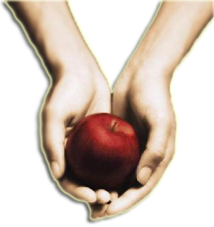 sticker_37382675_2