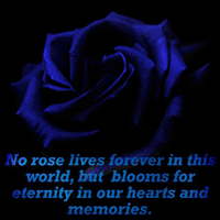 sticker_24257458_36430294