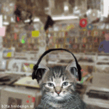 sticker_5921202_15237853