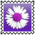 sticker_35760277_488