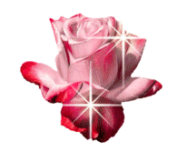 sticker_22933190_31747586