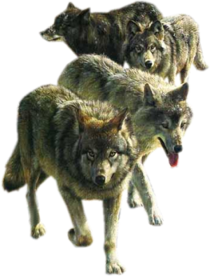 sticker_9436092_35906543