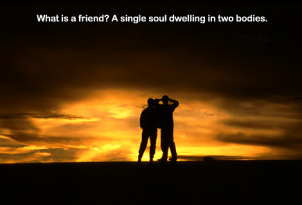 sticker_8434419_11635392