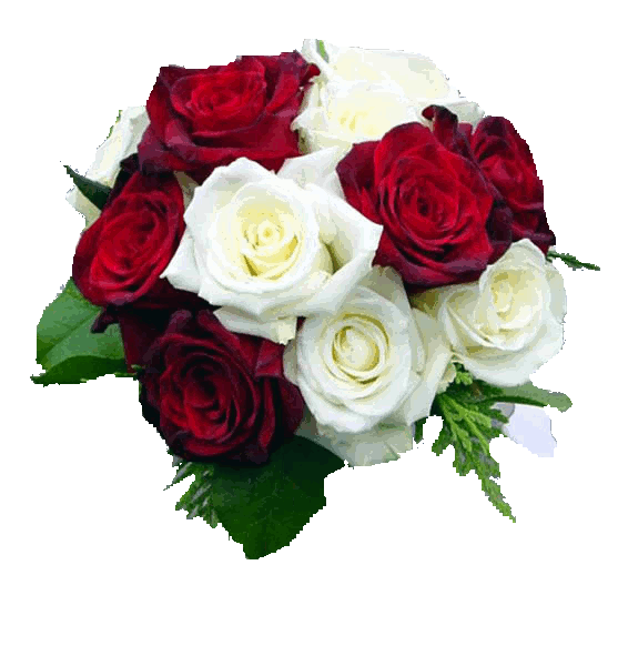 sticker_30578747_43065288