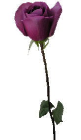 sticker_17624527_37978034