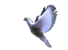 sticker_17624527_46865422