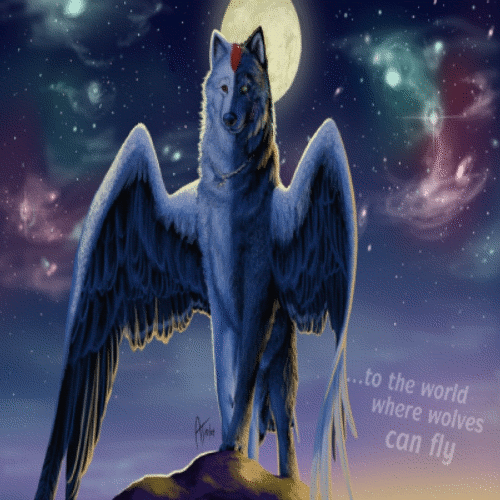sticker_19607606_41246241