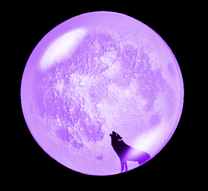 sticker_29559036_39985607