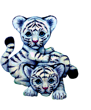 sticker_26056149_47516468