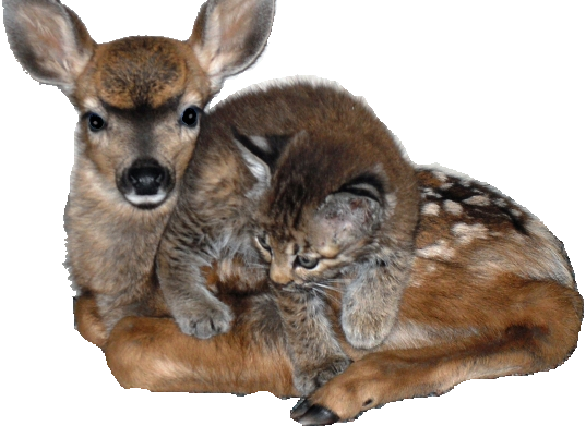 sticker_30596740_47580330