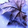 sticker_28282022_41888333