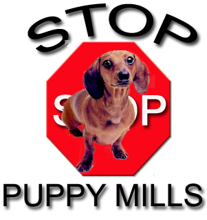 sticker_11726822_28116775