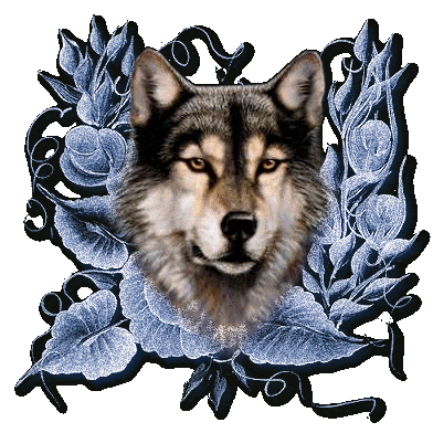 sticker_31028426_45050209