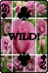 sticker_22933190_44495866