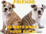 sticker_24752393_45997433