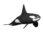 sticker_10494623_21830102