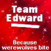 sticker_35633834_73