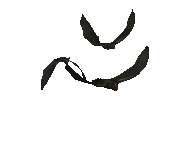 sticker_32754140_47042322
