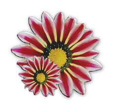 sticker_11443874_16112753