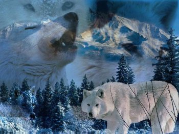 sticker_12240895_47522841