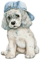 sticker_20021762_47597133