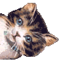 sticker_38696309_289