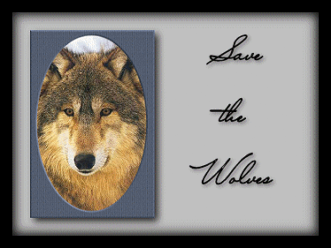 sticker_1604602_13896860