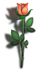 sticker_13288674_47605438