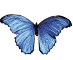 sticker_4269260_30776015