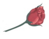 sticker_17052411_35024001