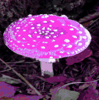 sticker_35748439_30