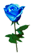 sticker_3282443_40882862