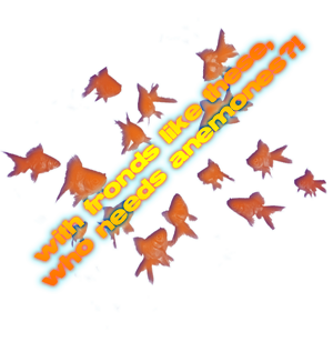 sticker_465064_40480289