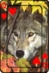 sticker_22933190_41053284