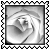 sticker_19649713_46870883