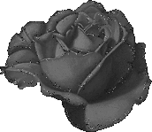 sticker_21284336_47599762