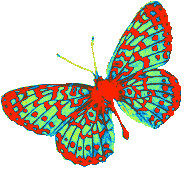 sticker_2166039_46903879