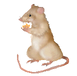 sticker_35633834_285