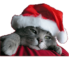 sticker_26531207_47581493