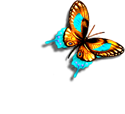 sticker_10919301_47576874