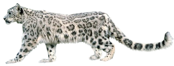 sticker_17423786_47542771
