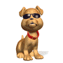 sticker_989903_2131690