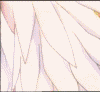 sticker_40817053_22