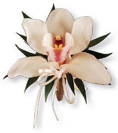 sticker_22863730_37573893